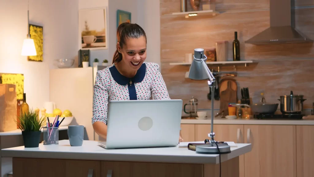 Online Business Owner